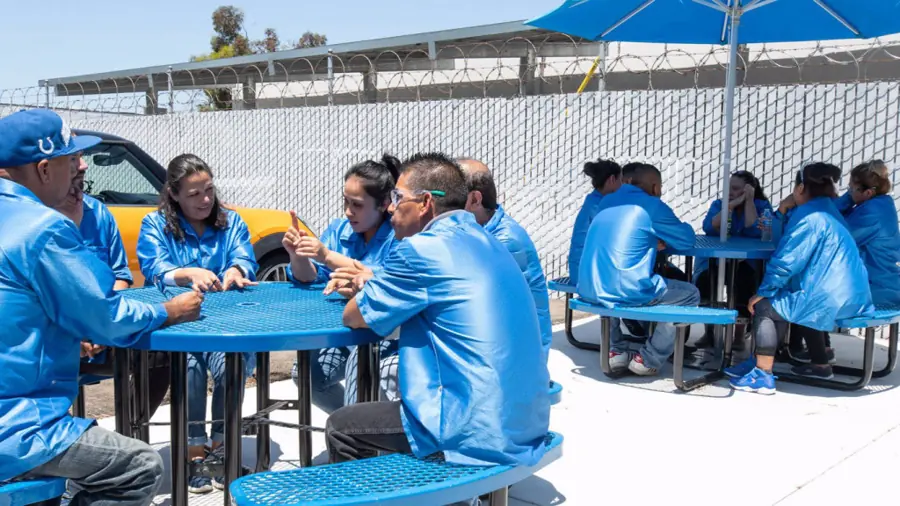 Team lunch on the patio