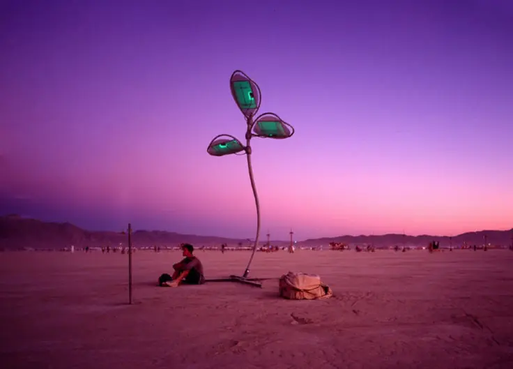 Solar Flora installation at dusk